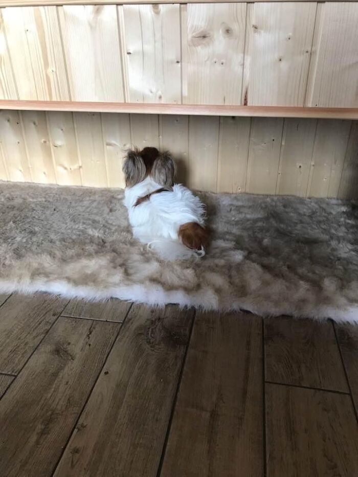 Just Cut Her Nails, She Is Not Happy And Makes Sure I Notice 😂