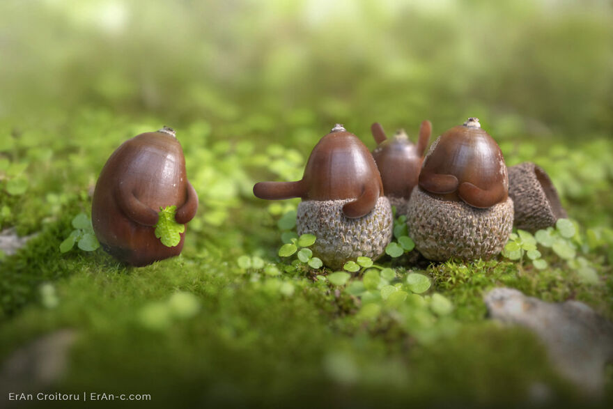 A Couple Inanimate Objects Coming To Life By, Eran Croitoru