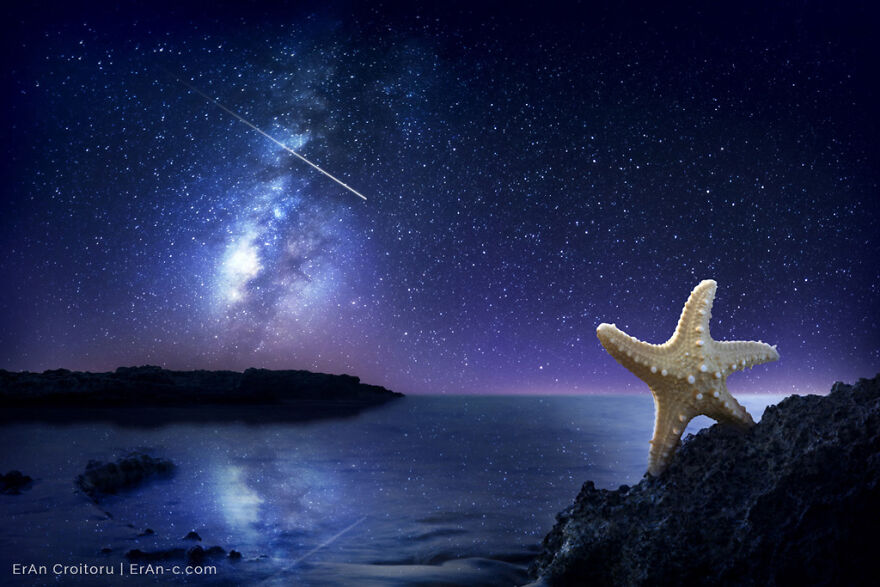 A Couple Inanimate Objects Coming To Life By, Eran Croitoru