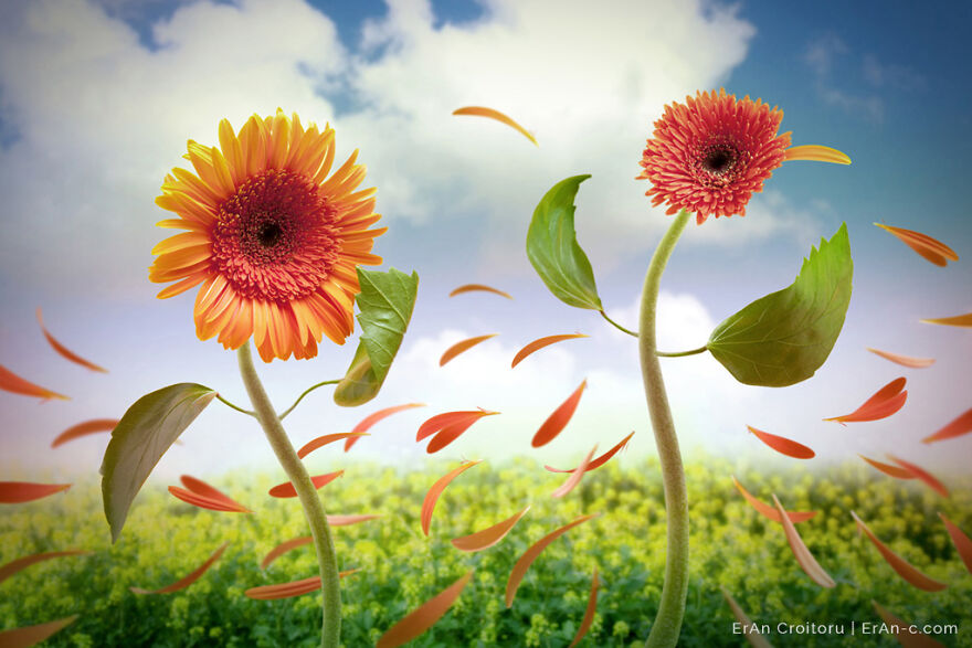 A Couple Inanimate Objects Coming To Life By, Eran Croitoru