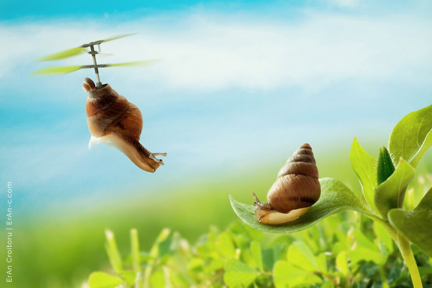 A Couple Inanimate Objects Coming To Life By, Eran Croitoru