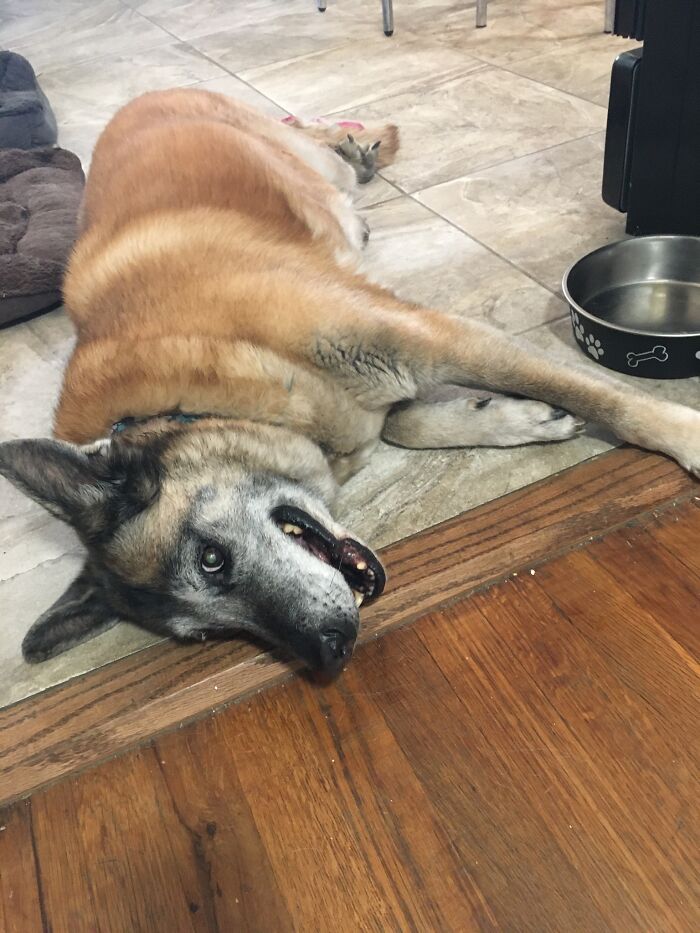 Mom I’m Starving To Death (10 Minutes Till Dinner Time)