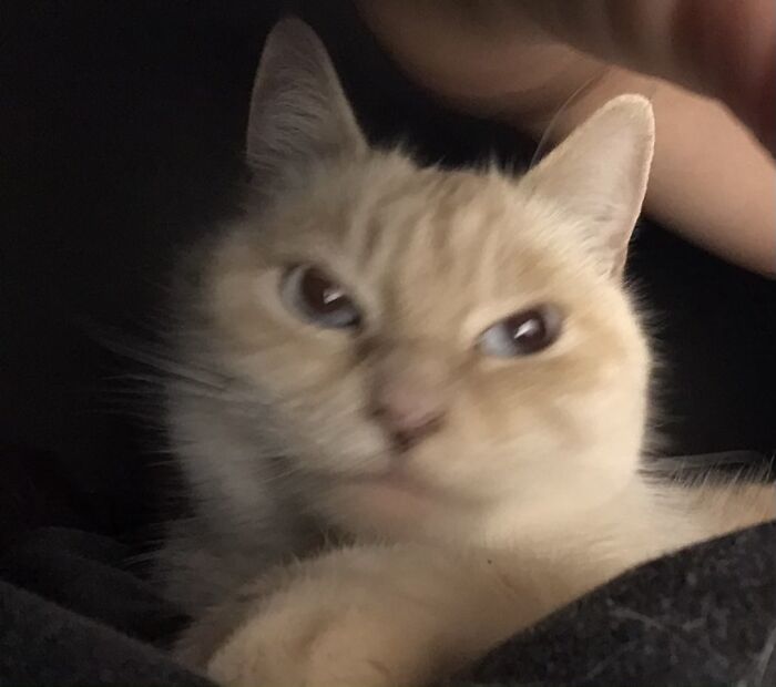 This Is Her Right Before She Starts Singing It The Song Of Her People At Me For No Reason