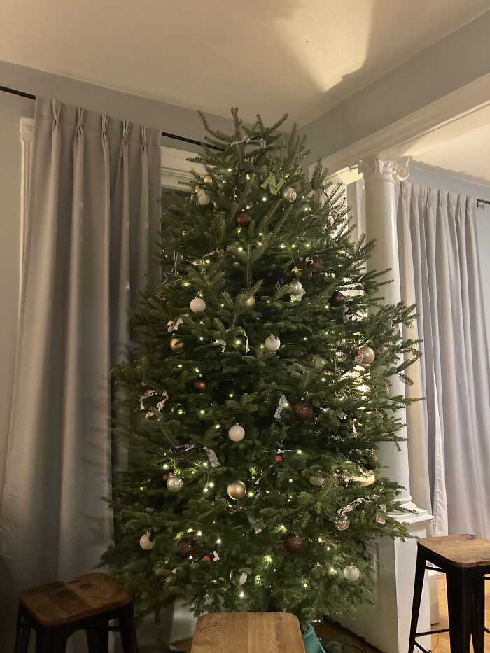 We Always Cut Down Our Own Christmas Tree, So We Got A Big One This Year