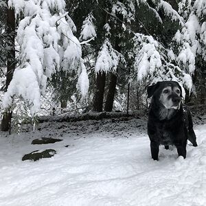 marlasinkdruzgal avatar