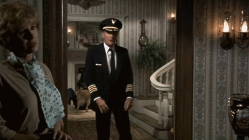 Airplane-Mirror-5fd0ef4198aa7.gif