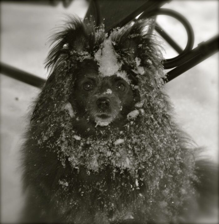 Ava Was A Shining Light In Our Lives. She Is Greatly Missed