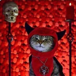 emberstonepierce avatar