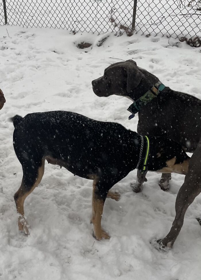 She Has Zero Boundaries.