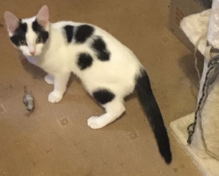 Me: “Take It Outside Please”. Eenie: No!