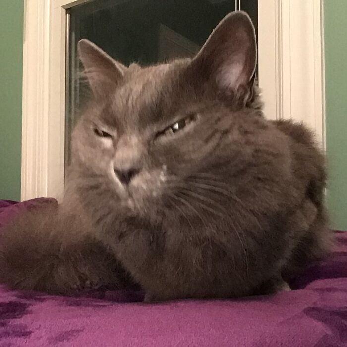 Excuse Me? Hmm... I’m Suspicious...