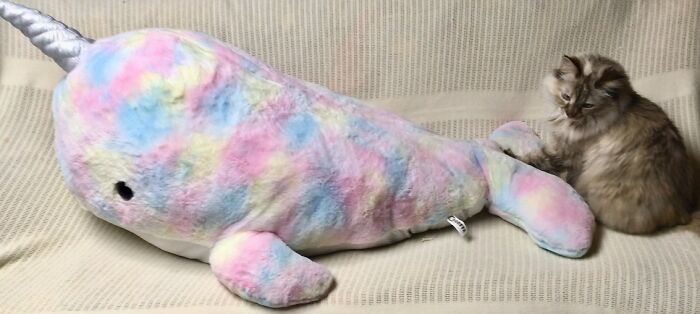 Narwhal Plush!
