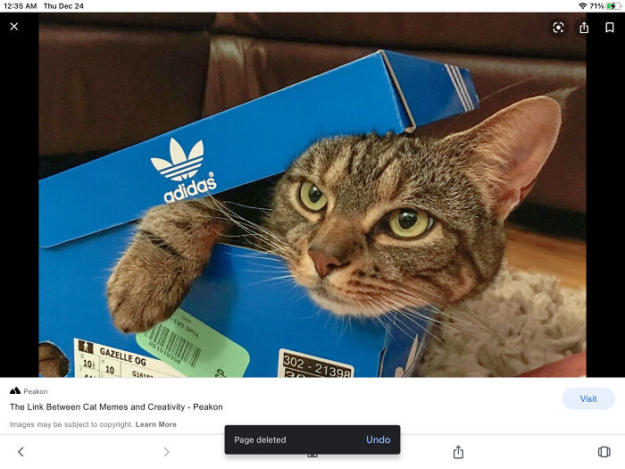 Pretty Much Sums It Up