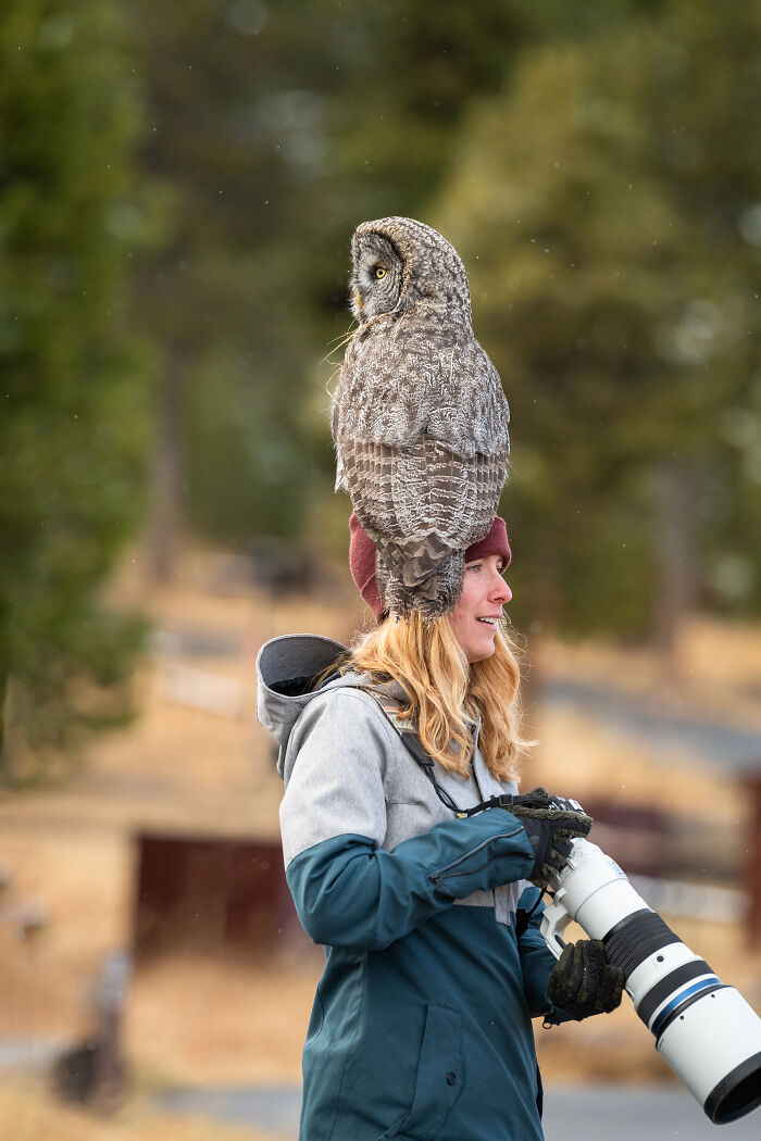"It Sent Tingles Down My Spine For Hours": Owl Lands On This Photographer&rsquo;s Lens, Ends Up Blending In Perfectly