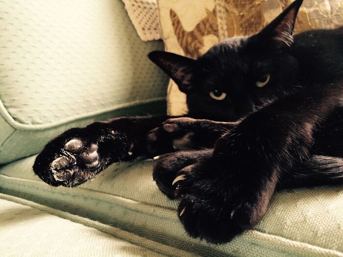 I Critiqued Her Painting Skills....