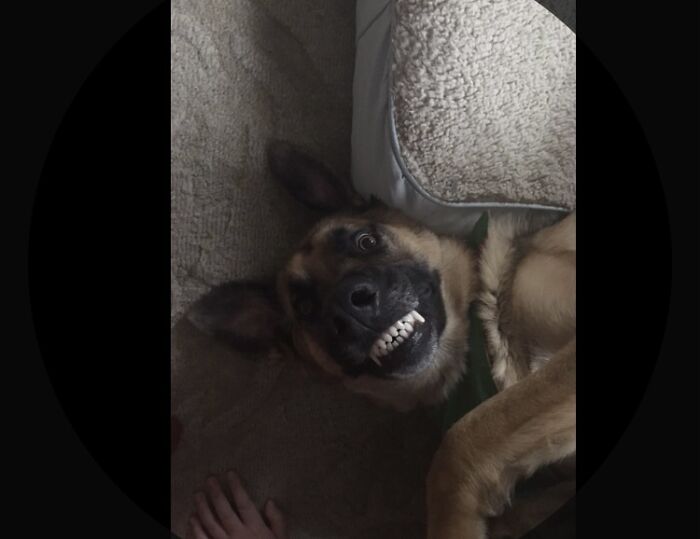 Peanut Butter - The Ninety-Eight Pound Dork