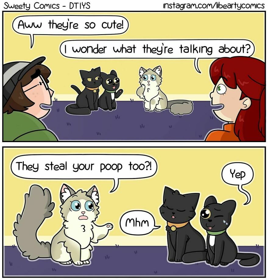 20 Of My Comics Featuring My Funny Family And Life In Apartment 4b