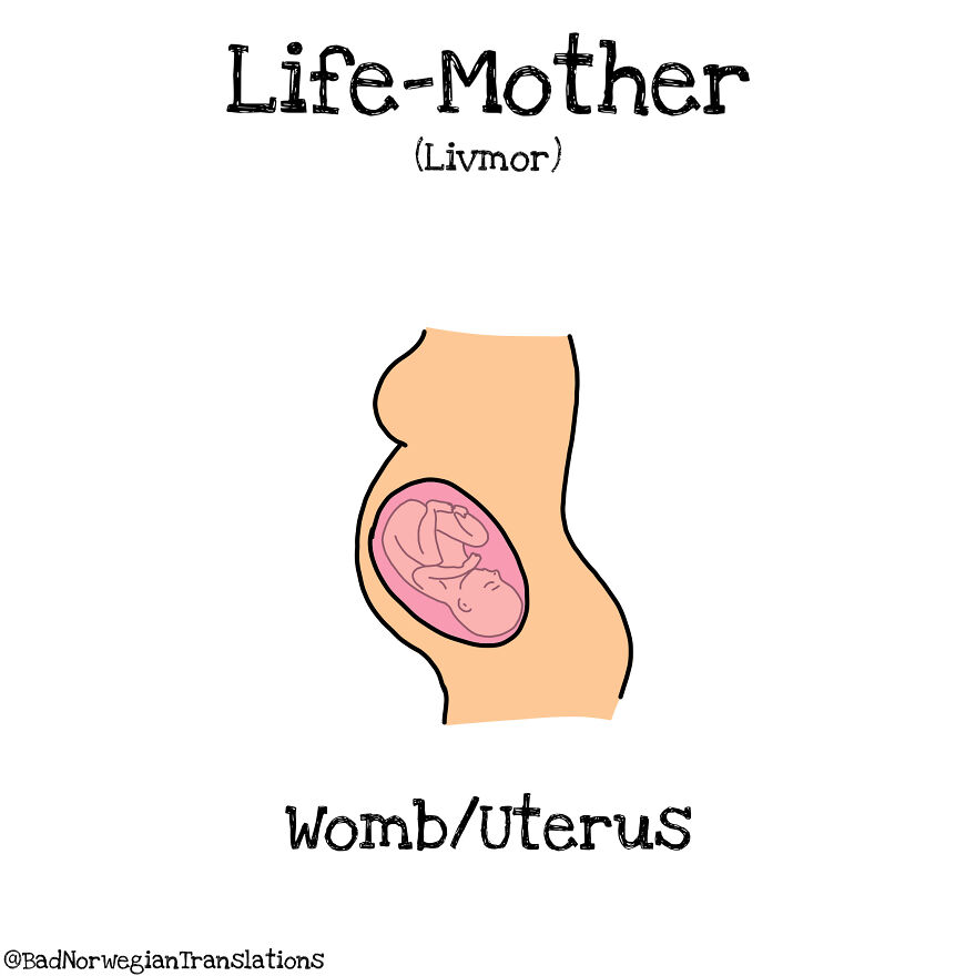 The Simplicity Of The Norwegian Language