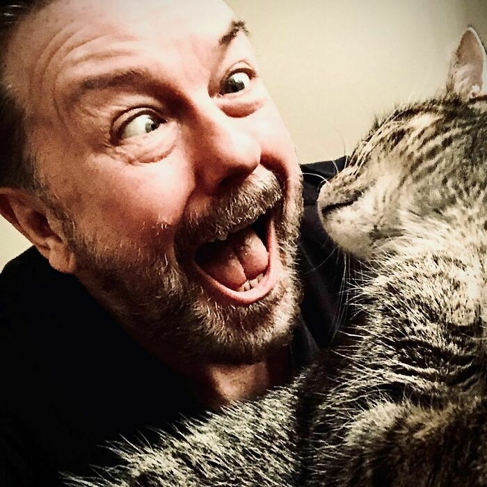 Ricky Gervais Attempts To Foster A Cat But Ends Up Adopting Her And She's Taking Over His Feed Ricky Gervais Attempts To Foster A Cat But Ends Up Adopting Her And She's Taking Over His Feed