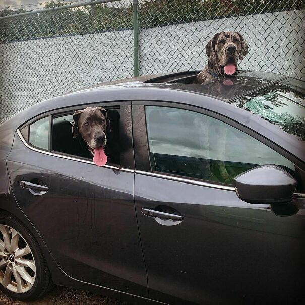 Maybe I Do Need A Bigger Car