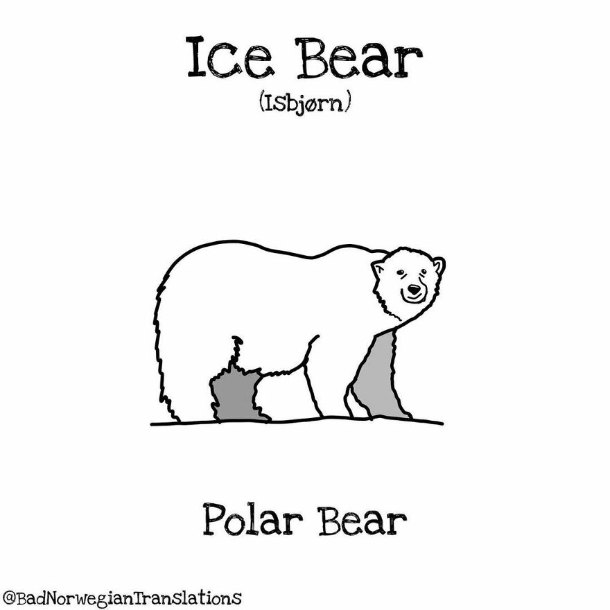 The Simplicity Of The Norwegian Language