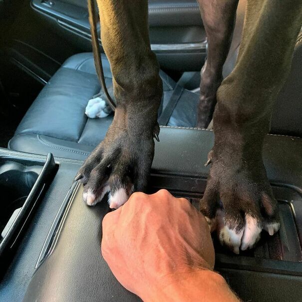 16-Weeks-Old, Huge Feet