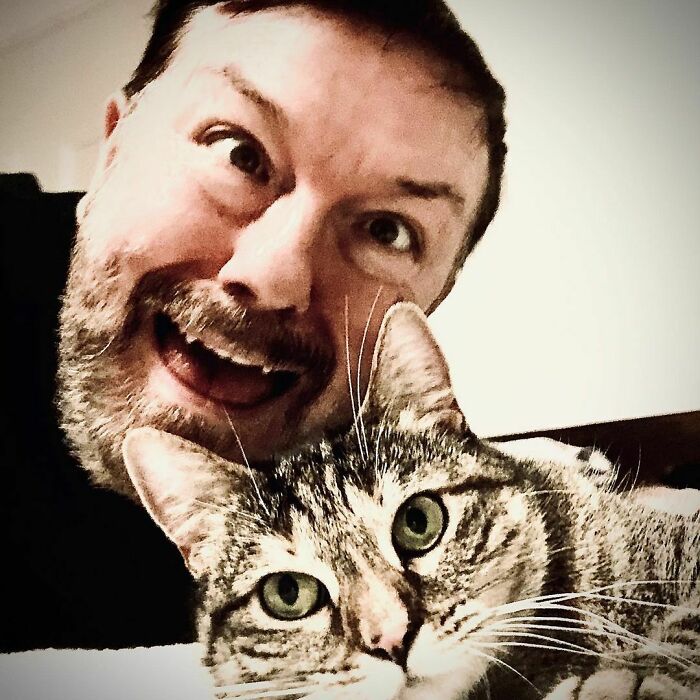 Ricky Gervais Attempts To Foster A Cat But Ends Up Adopting Her And She's Taking Over His Feed