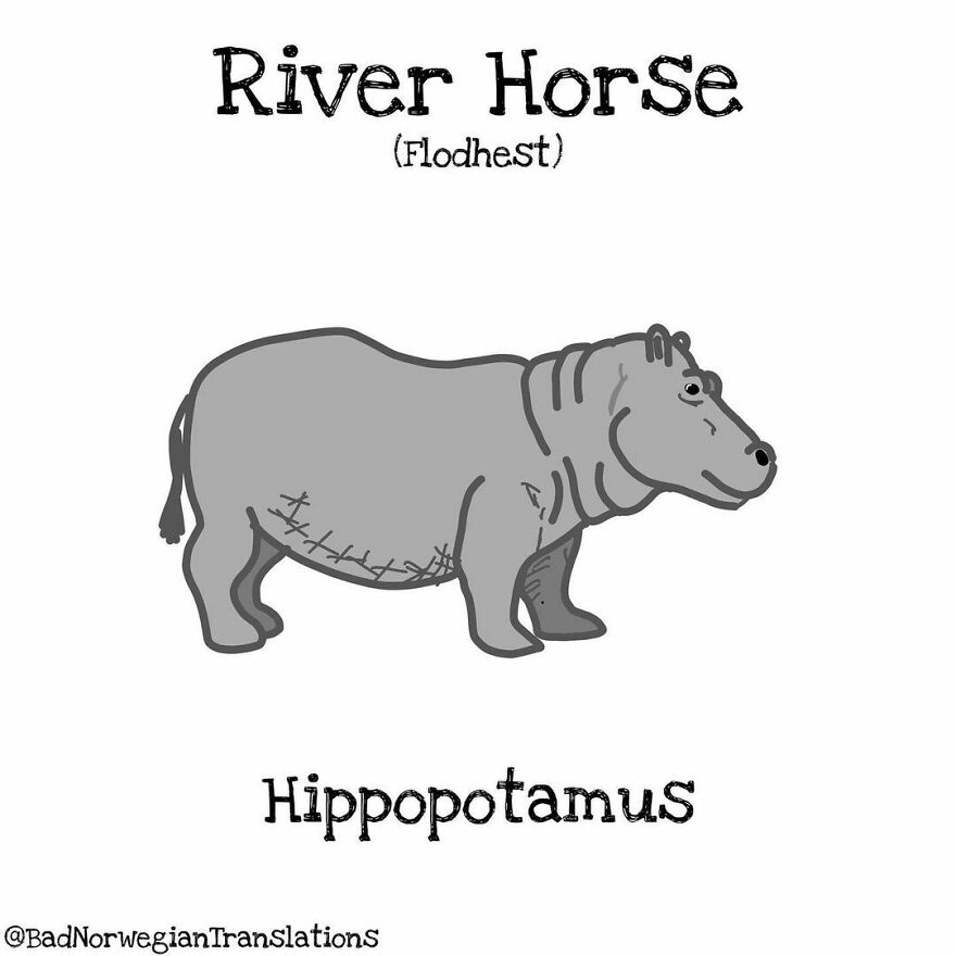 The Simplicity Of The Norwegian Language