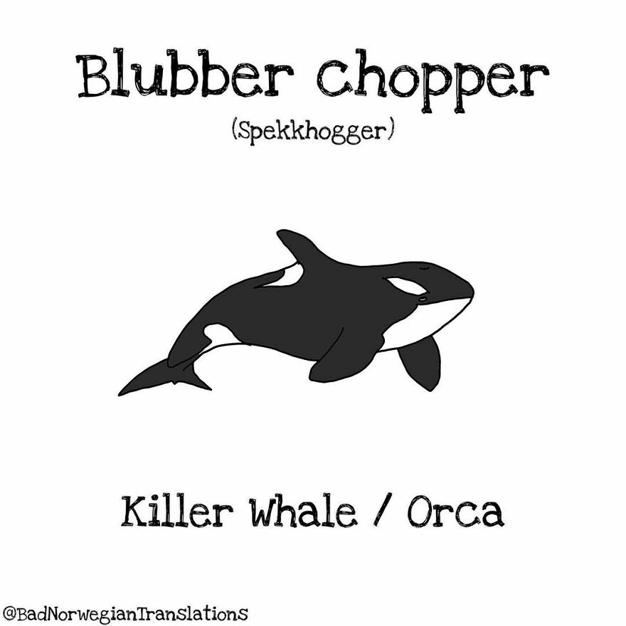 The Simplicity Of The Norwegian Language