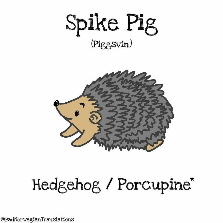 The Simplicity Of The Norwegian Language