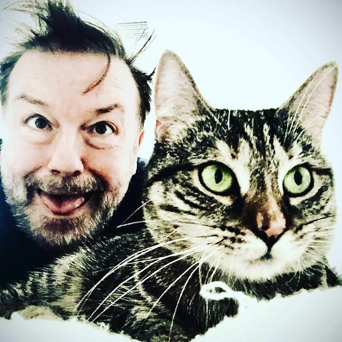 Ricky Gervais Attempts To Foster A Cat But Ends Up Adopting Her And She's Taking Over His Feed Ricky Gervais Attempts To Foster A Cat But Ends Up Adopting Her And She's Taking Over His Feed