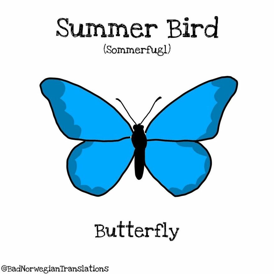 The Simplicity Of The Norwegian Language