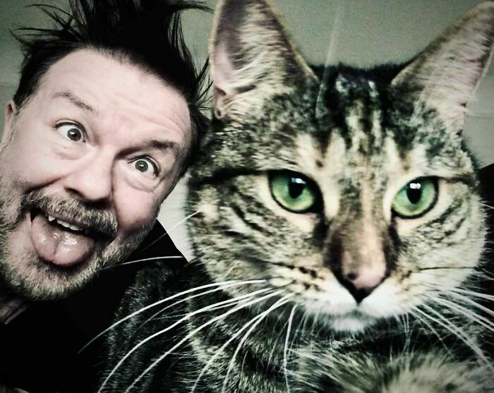 Ricky Gervais Attempts To Foster A Cat But Ends Up Adopting Her And She's Taking Over His Feed Ricky Gervais Attempts To Foster A Cat But Ends Up Adopting Her And She's Taking Over His Feed