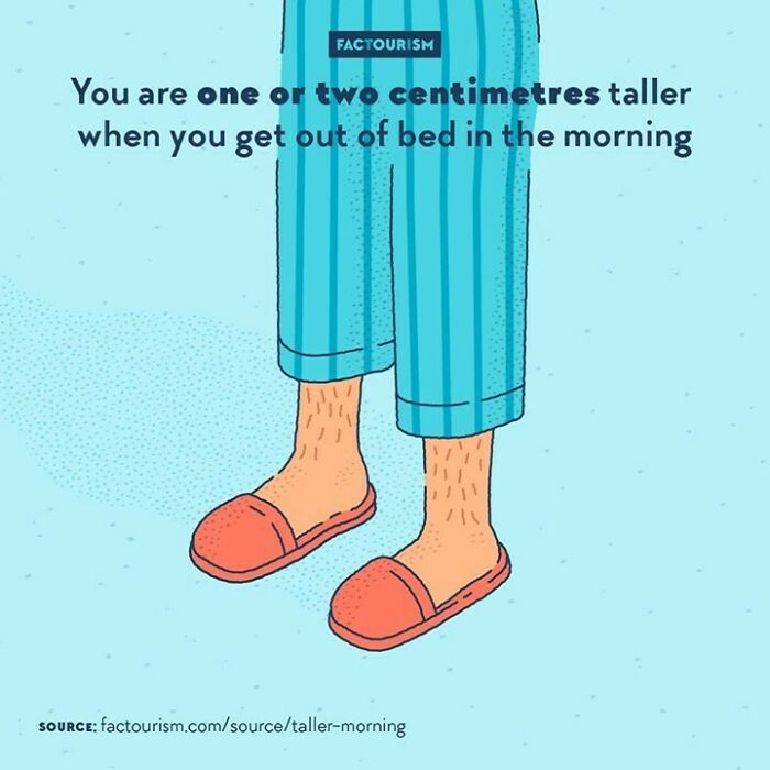 World-Illustrated-Facts-Factourism