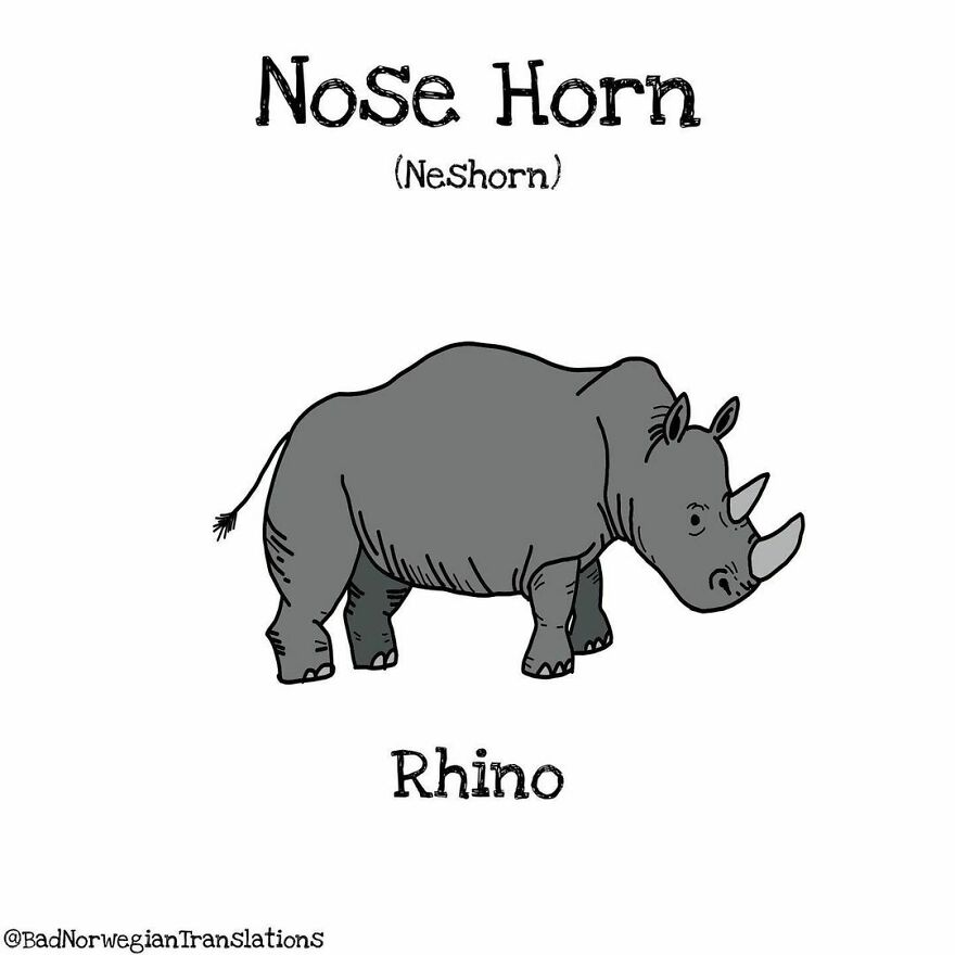 The Simplicity Of The Norwegian Language