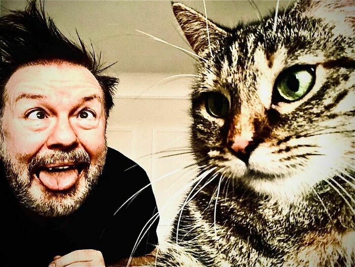 Ricky Gervais Attempts To Foster A Cat But Ends Up Adopting Her And She's Taking Over His Feed Ricky Gervais Attempts To Foster A Cat But Ends Up Adopting Her And She's Taking Over His Feed
