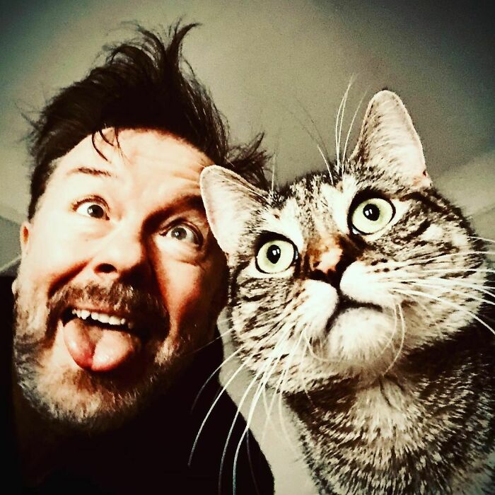 Ricky Gervais Attempts To Foster A Cat But Ends Up Adopting Her And She's Taking Over His Feed Ricky Gervais Attempts To Foster A Cat But Ends Up Adopting Her And She's Taking Over His Feed