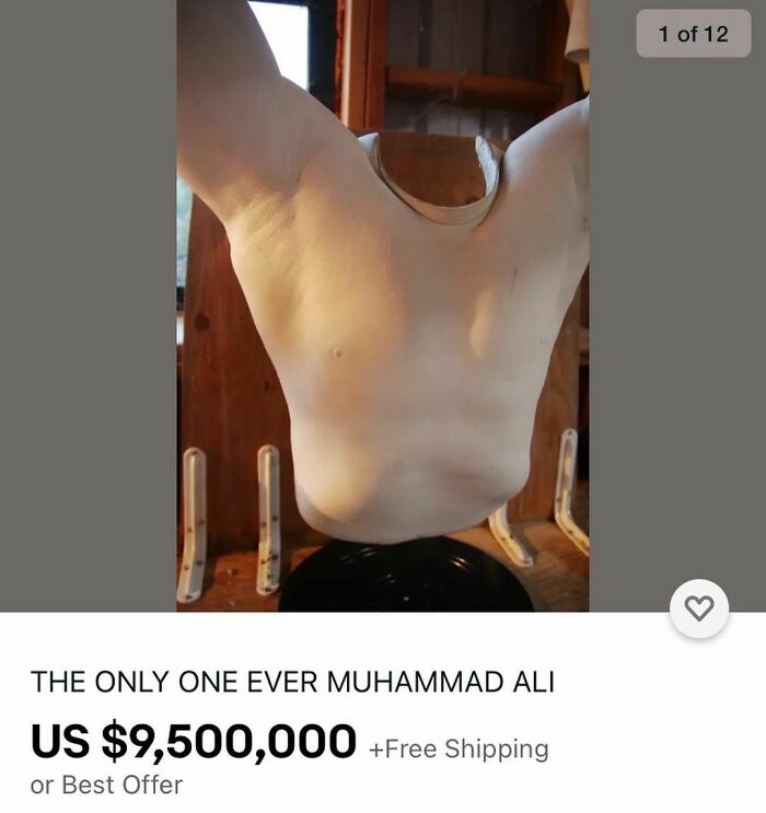 Weird-Ebay-Listings-Ebaybae