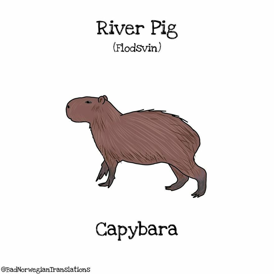 The Simplicity Of The Norwegian Language