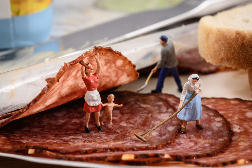 Morning At The Breakfast Farm