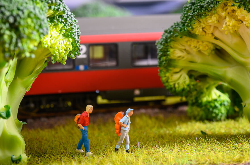 In To The Broccoli Forest