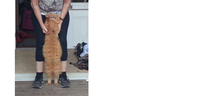 So My Cat Loves Being Held By My Mum