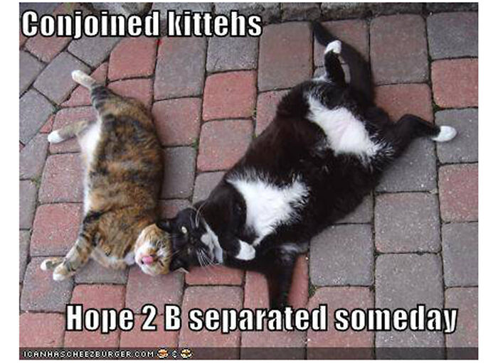 Daisy And Jake Are Stuck!