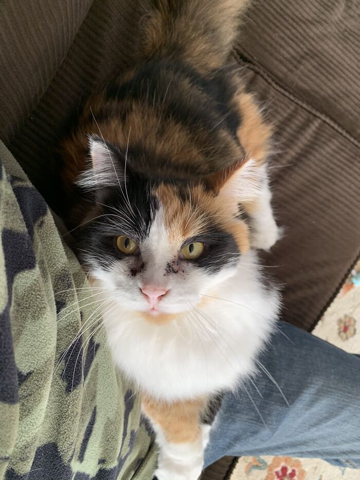 This Is One Of My Favorite Fur Balls