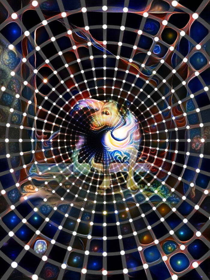 Thalia Versus Enlight Photo Editor