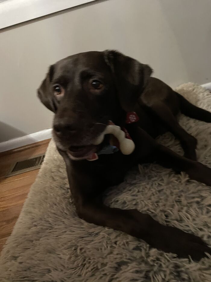 She Would Not Stand Still