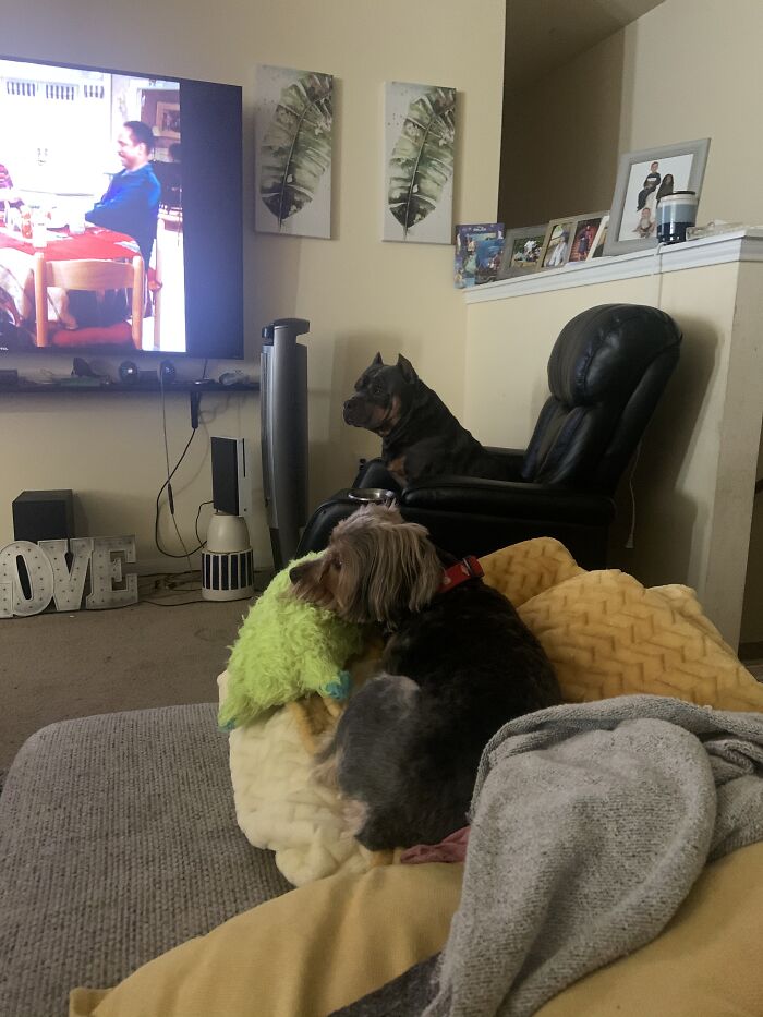 The Real Kings Of The House