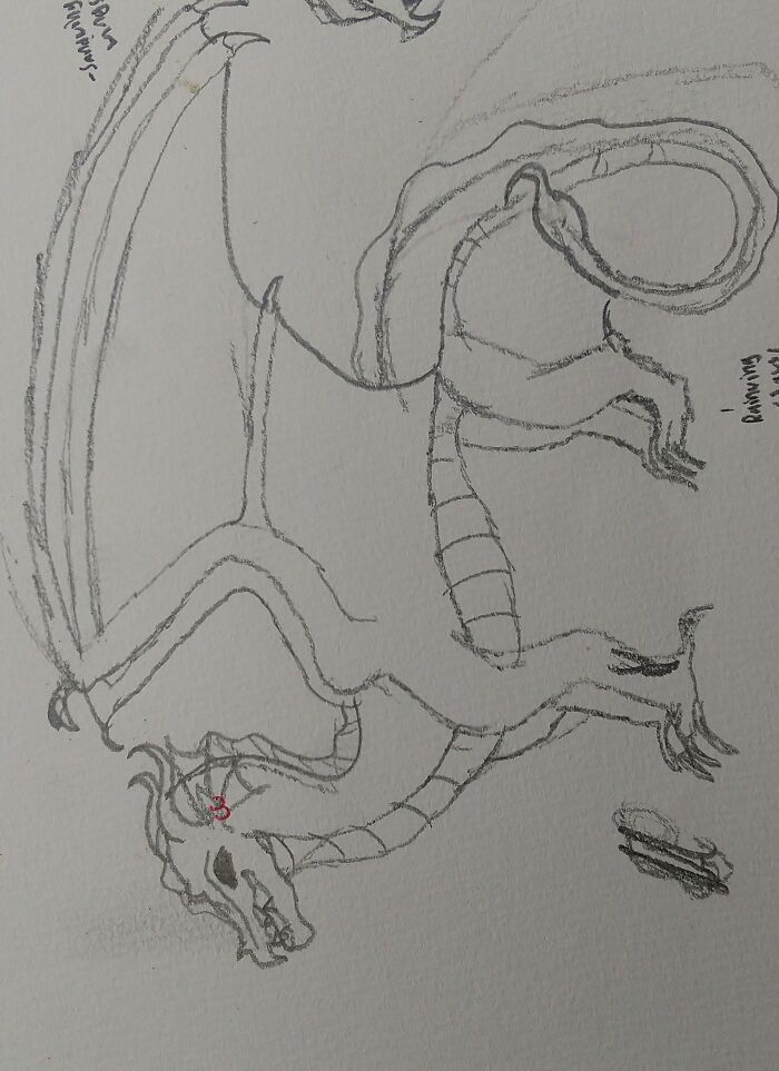 Rain/Sandwing Hybrid