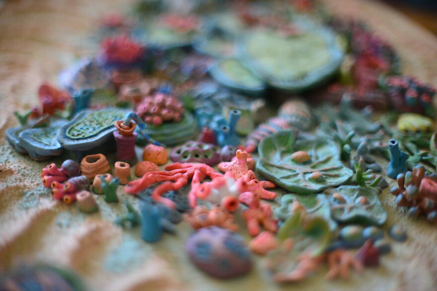 I Built The Most Beautiful Coral Reef Table