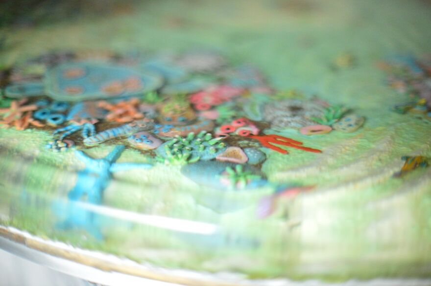 I Built The Most Beautiful Coral Reef Table